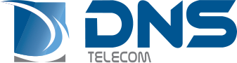 dns-logo
